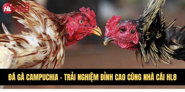 Đá gà Campuchia