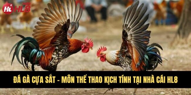 Đá gà cựa sắt