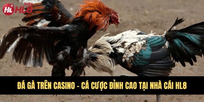 Đá gà trên casino
